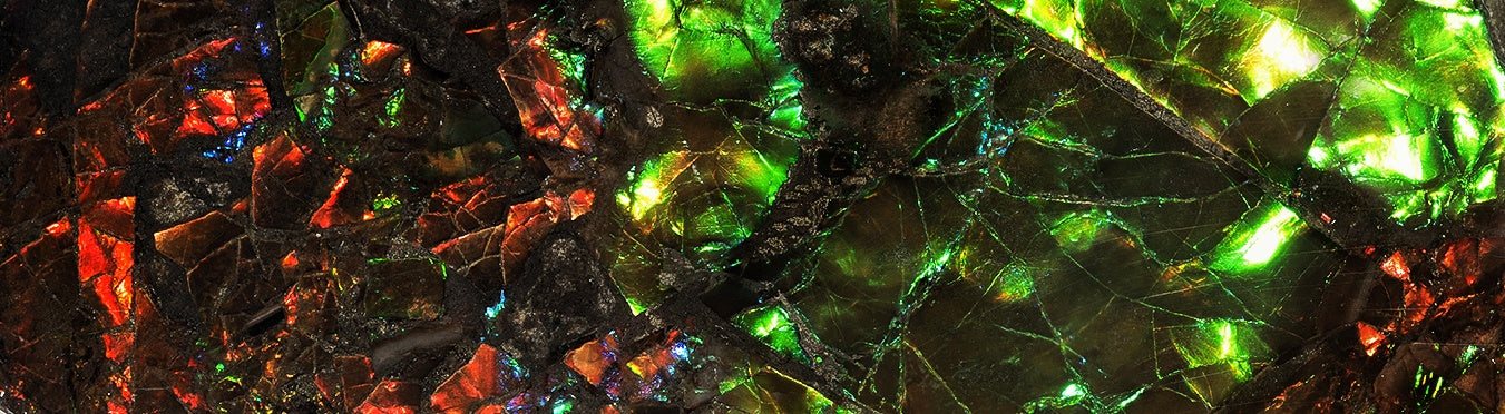 Ammolite