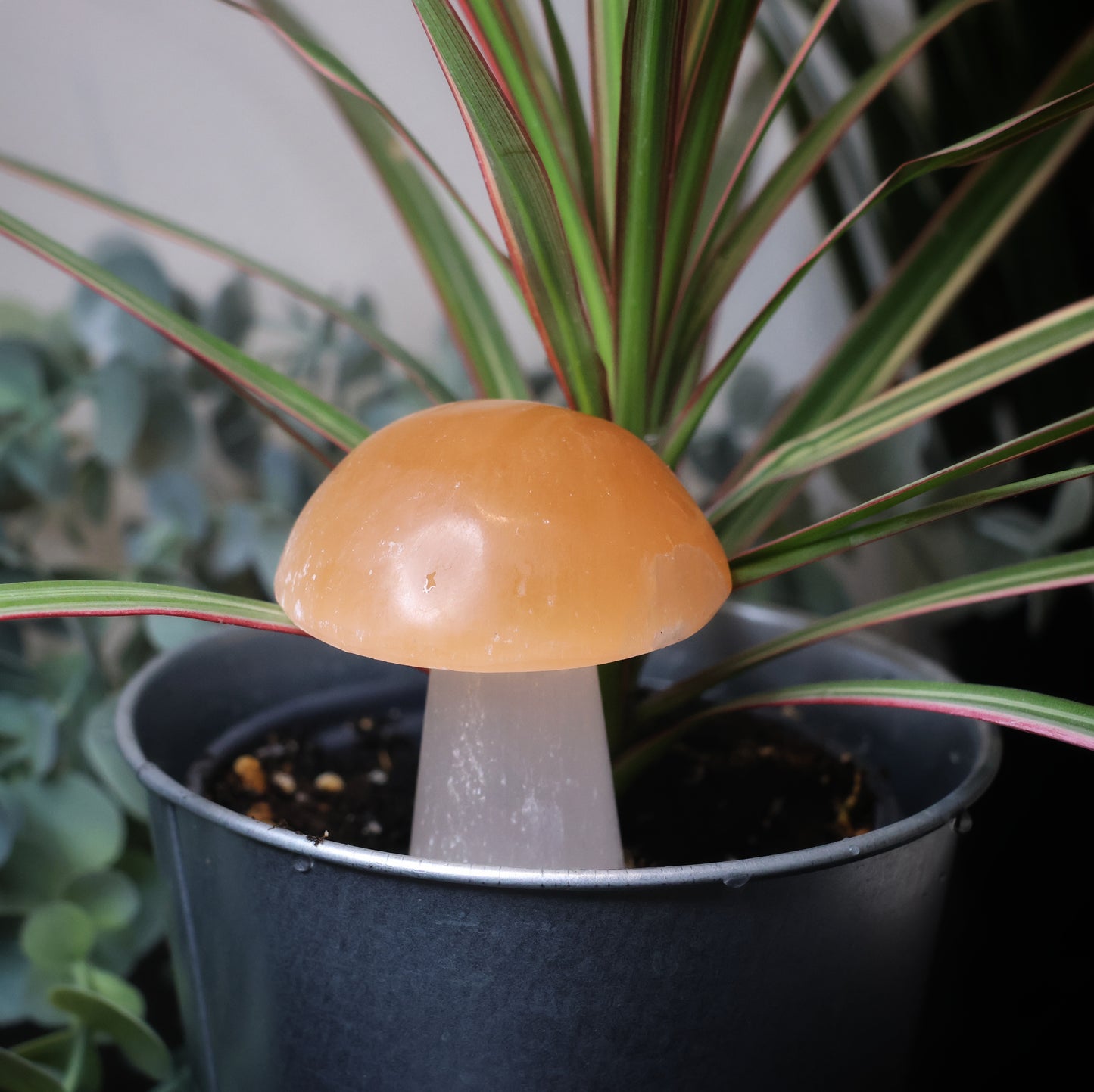 Selenite Mushroom