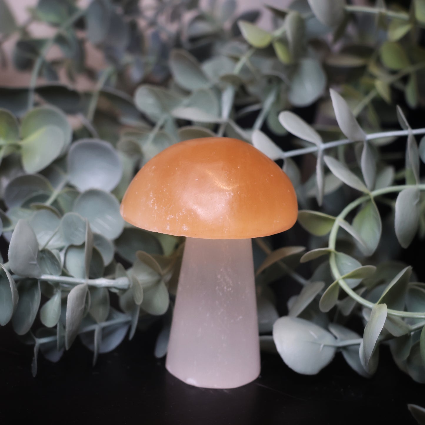 Selenite Mushroom