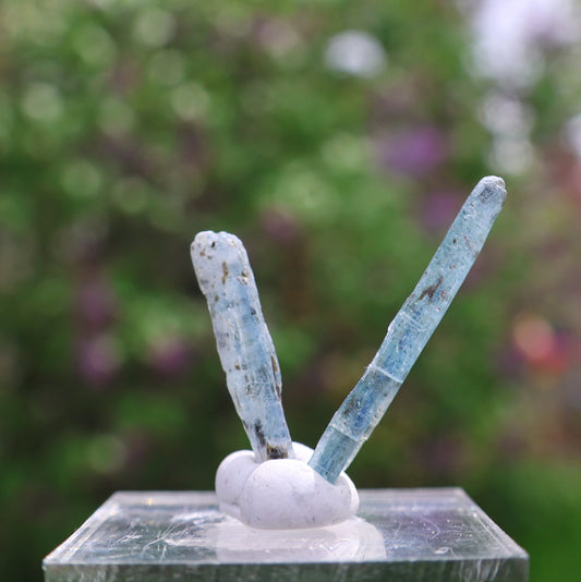 Indigo Kyanite Choice Pair