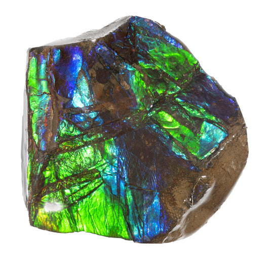 Small Ammolite Hand Specimen