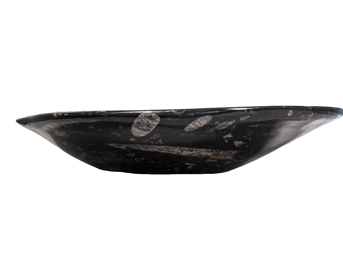 Orthoceras Bowl