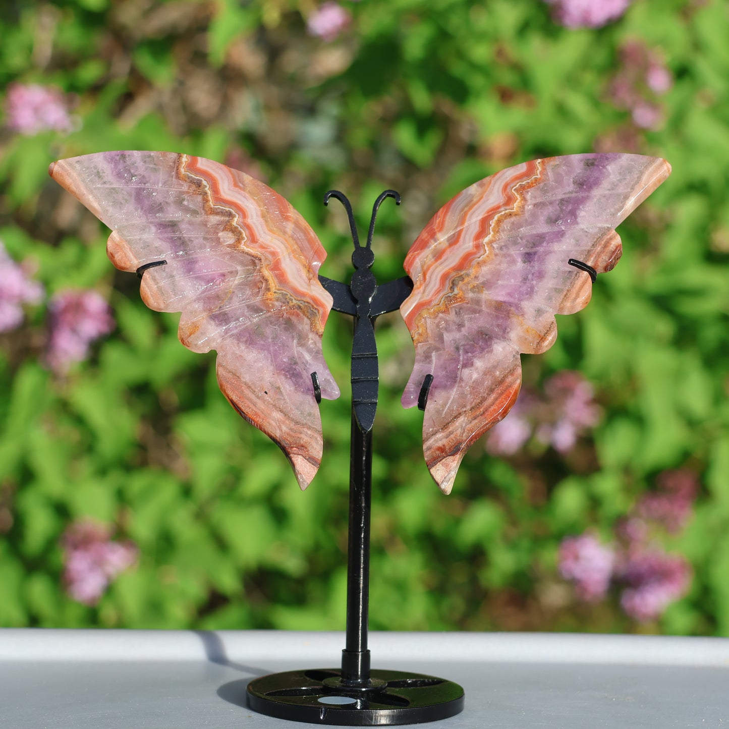 Amethyst Butterfly Wings