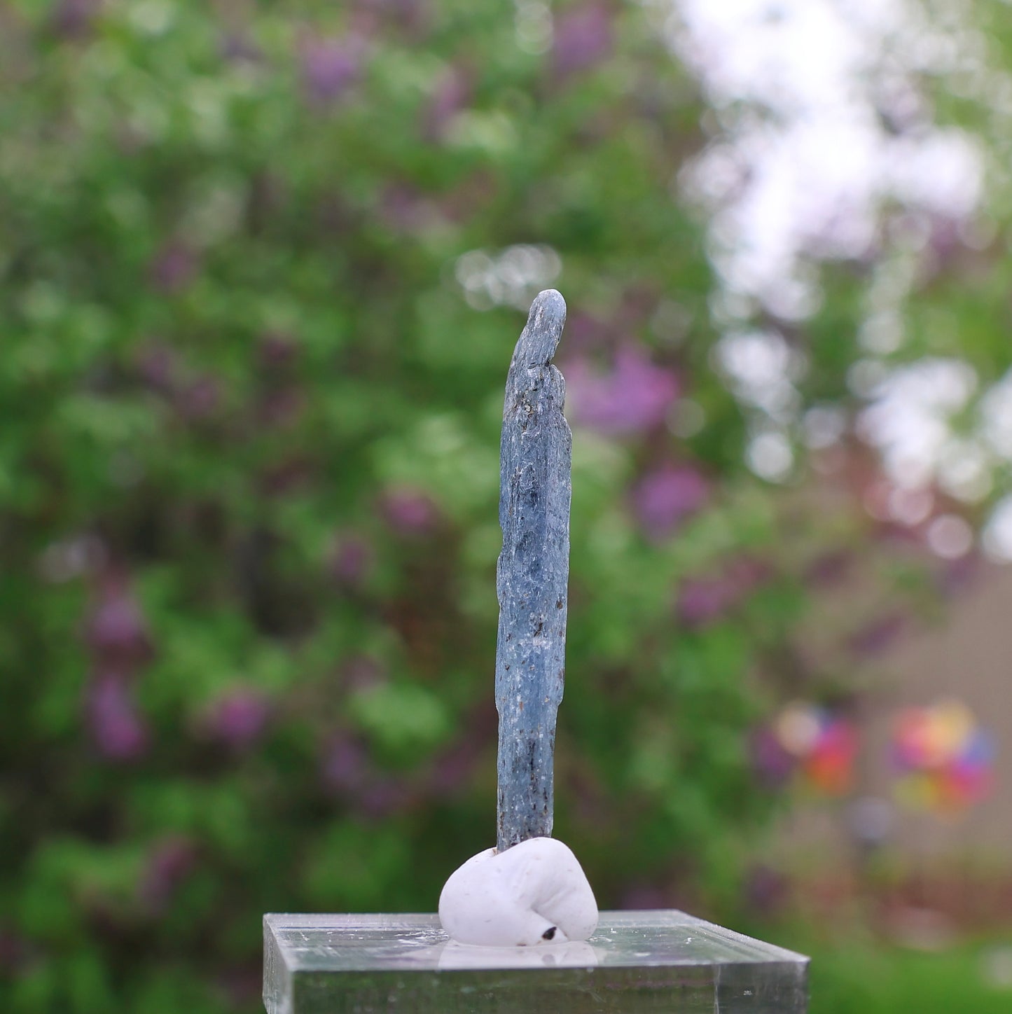 Indigo Kyanite Choice Piece