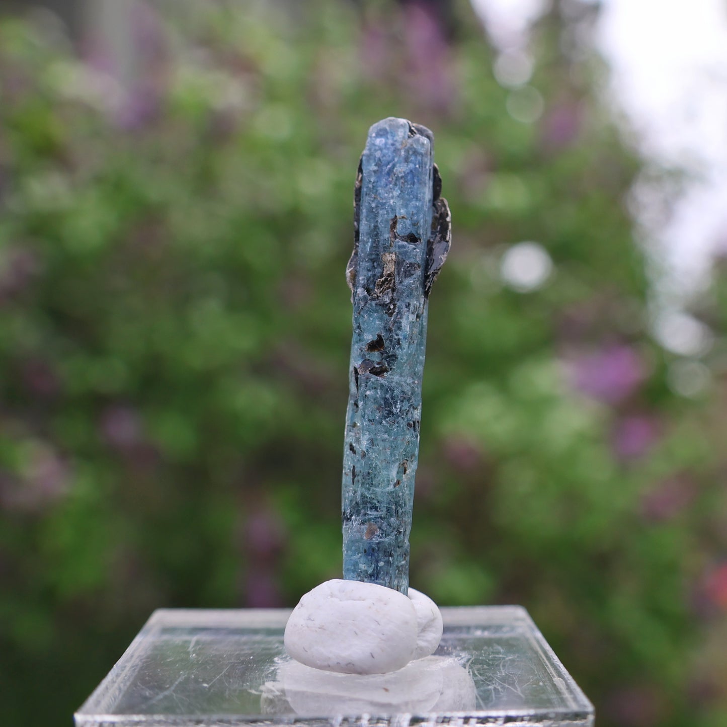 Indigo Kyanite Choice Piece