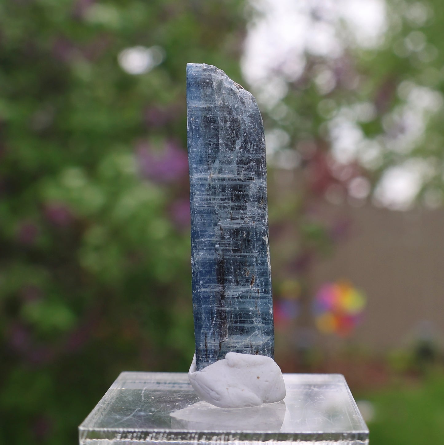 Indigo Kyanite Choice Piece