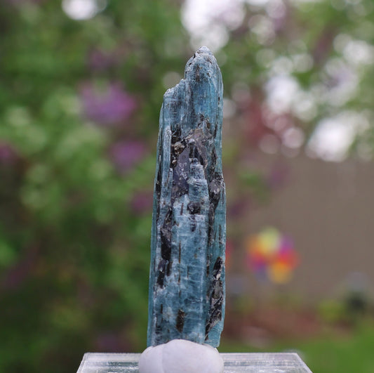 Indigo Kyanite Choice Piece