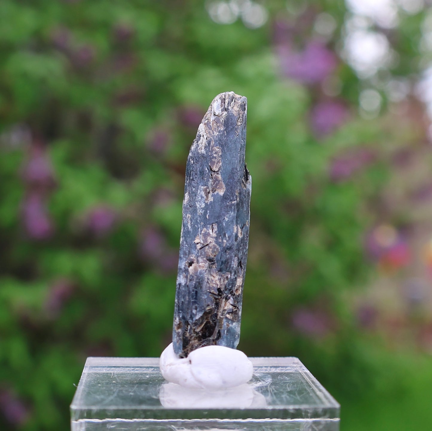 Indigo Kyanite Choice Piece