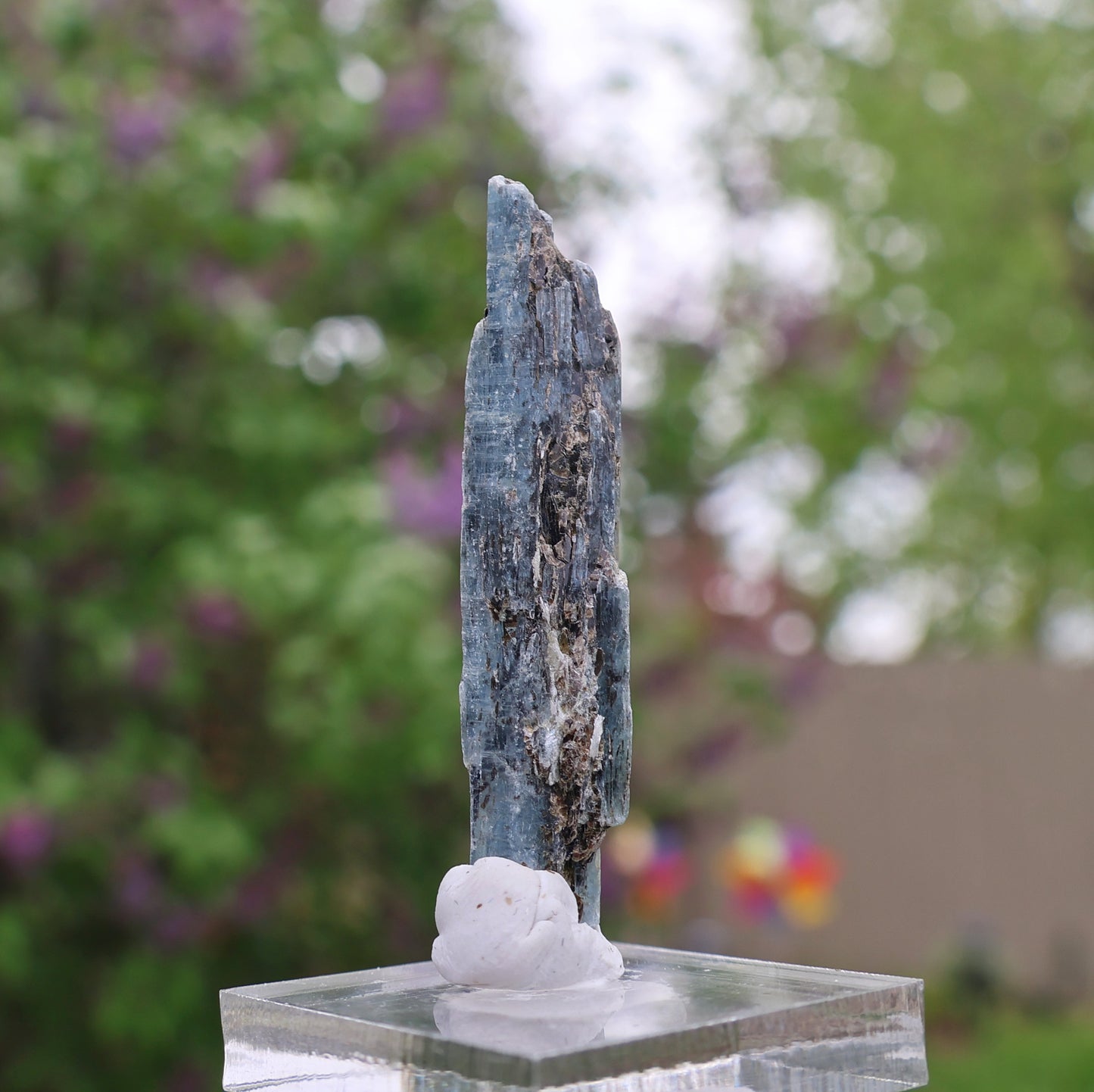 Indigo Kyanite Choice Piece