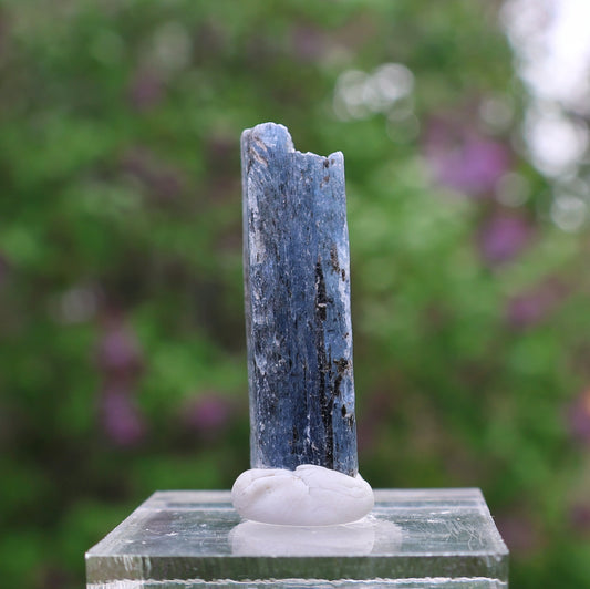 Indigo Kyanite Choice Piece