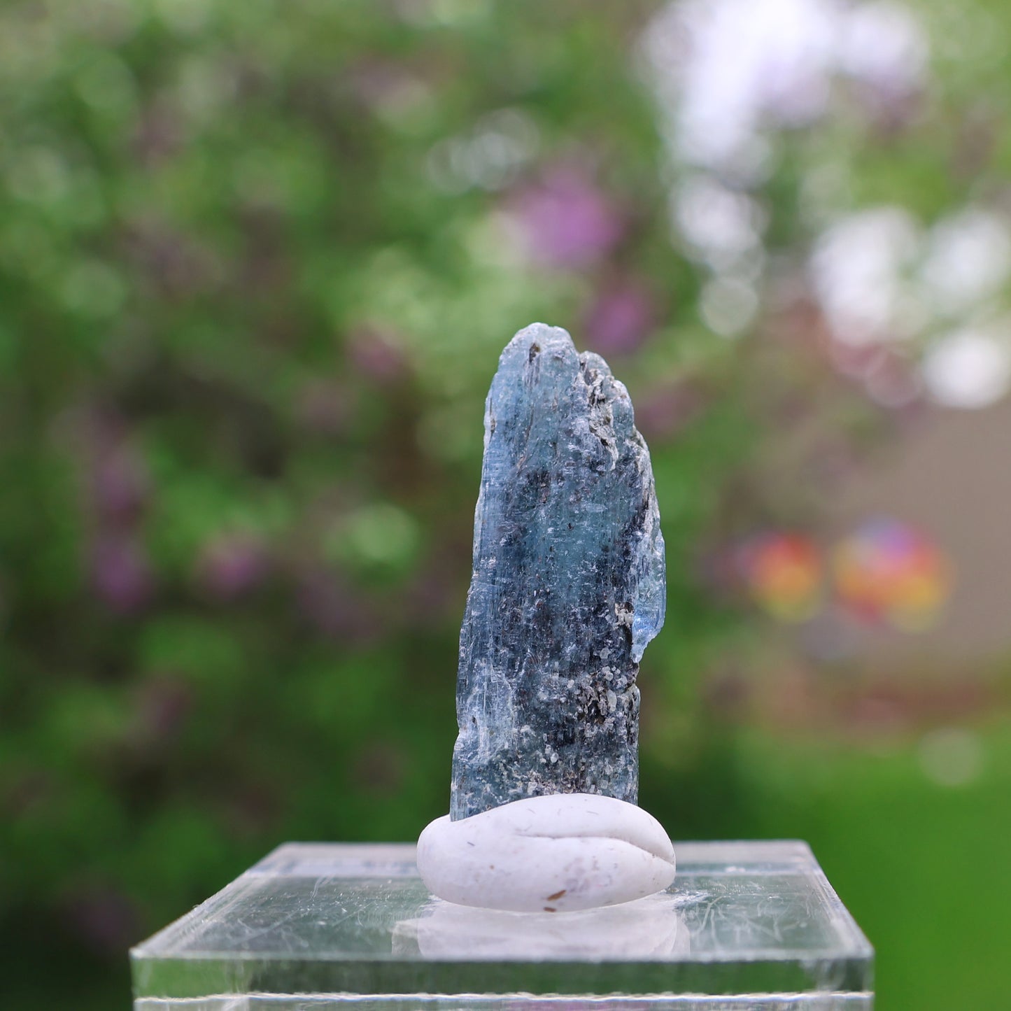 Indigo Kyanite Choice Piece