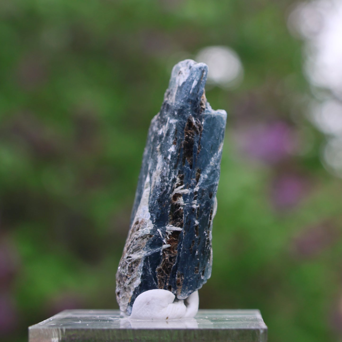 Indigo Kyanite Choice Piece