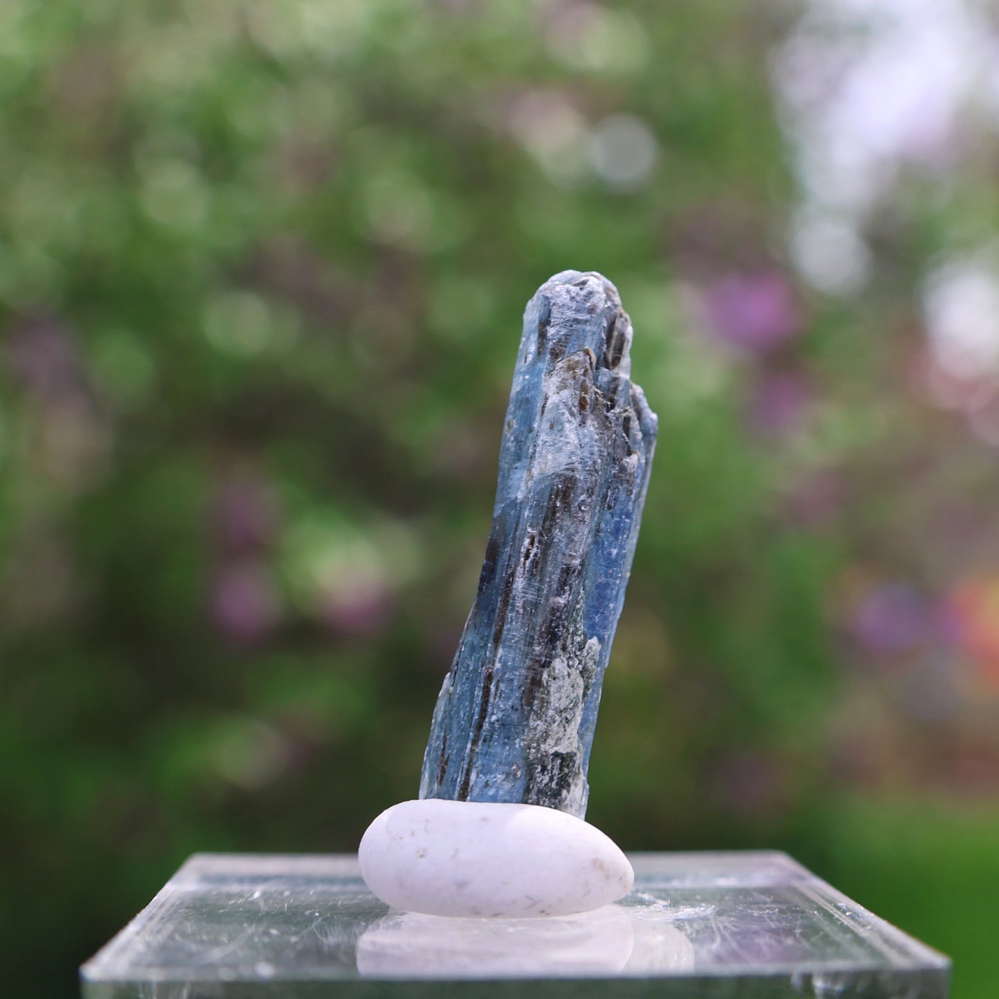 Indigo Kyanite Choice Piece