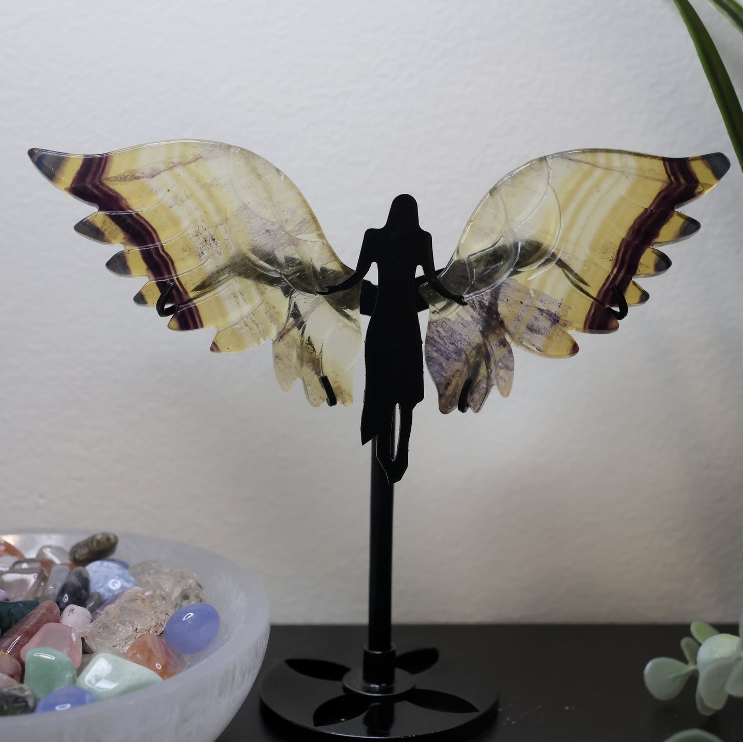 Fluorite Angel Wings